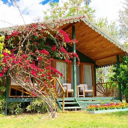 Etenna Beach Bungalows Çıralı Buitenkant foto